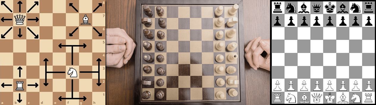 Шахматная доска имеет форму квадрата определи